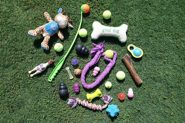 Pet Toys